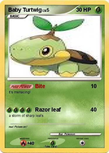Pokemon Baby Turtwig