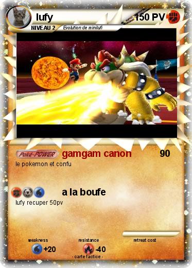Pokemon lufy
