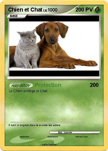Pokemon Chien et Chat