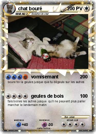 Pokemon chat bouré