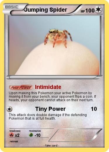 Pokemon Jumping Spider