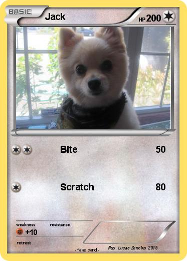 Pokemon Jack