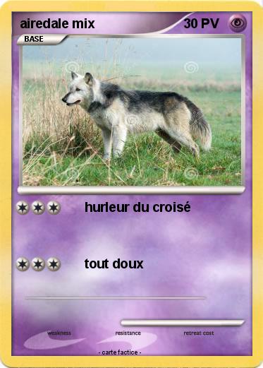 Pokemon airedale mix