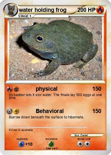 Pokemon water holding frog