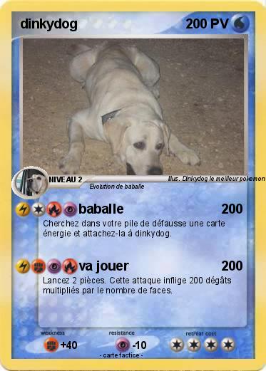 Pokemon dinkydog