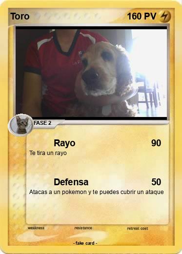 Pokemon Toro