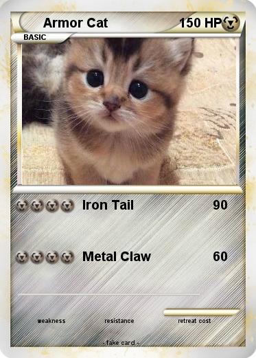 Pokemon Armor Cat