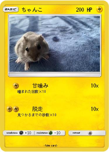 Pokemon ちゃんこ