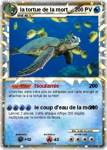 Pokemon la tortue de la mort