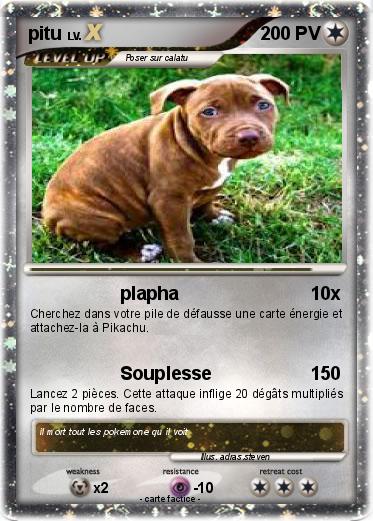 Pokemon pitu