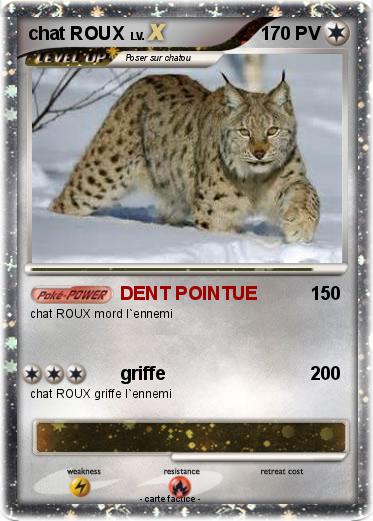 Pokemon chat ROUX