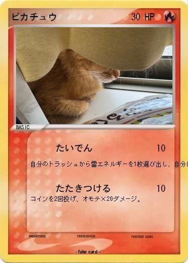 Pokemon ピカチュウ