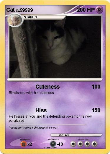 Pokemon Cat