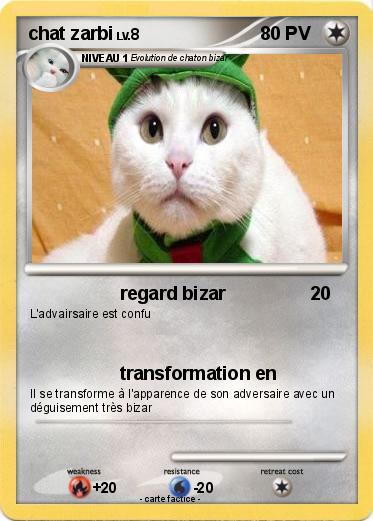 Pokemon chat zarbi