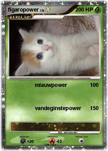 Pokemon figaropower