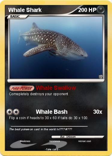 Pokemon Whale Shark