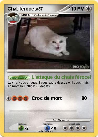 Pokemon Chat féroce