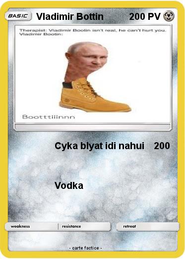 Pokemon Vladimir Bottin