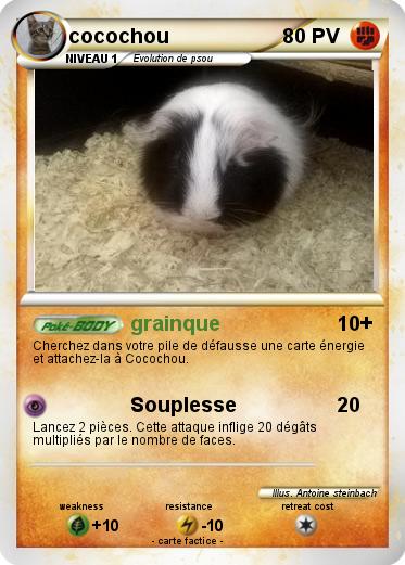 Pokemon cocochou