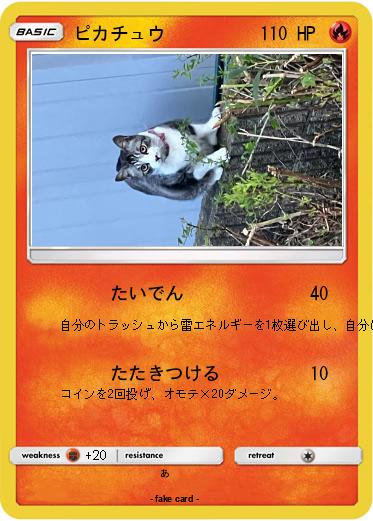 Pokemon ピカチュウ