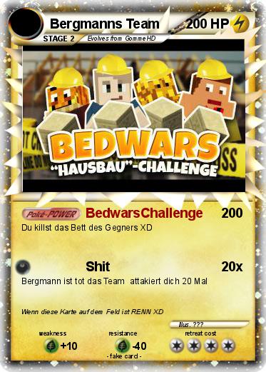 Pokemon Bergmanns Team