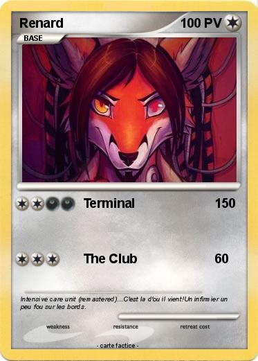 Pokemon Renard