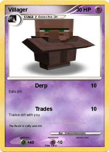 Pokemon Villager