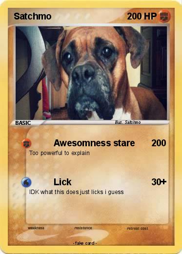 Pokemon Satchmo