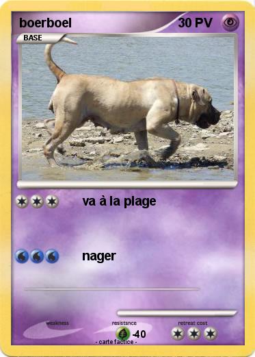 Pokemon boerboel