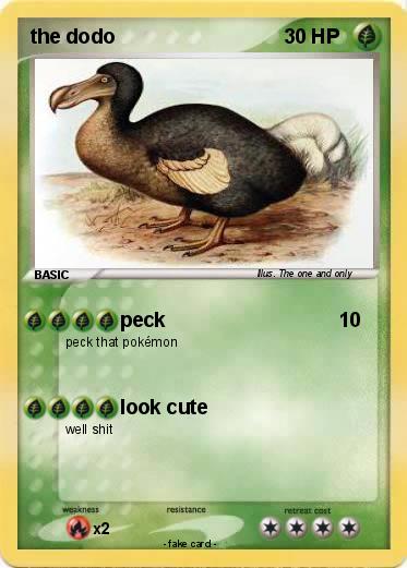 Pokemon the dodo