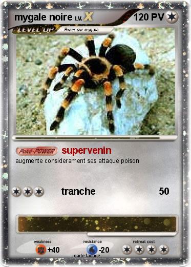 Pokemon mygale noire