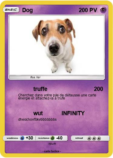 Pokemon Dog