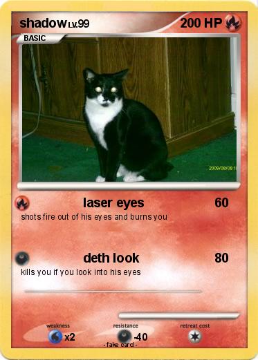 Pokemon shadow