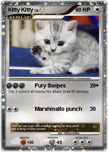 Pokemon KItty Kitty