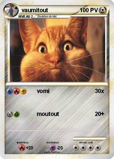 Pokemon vaumitout