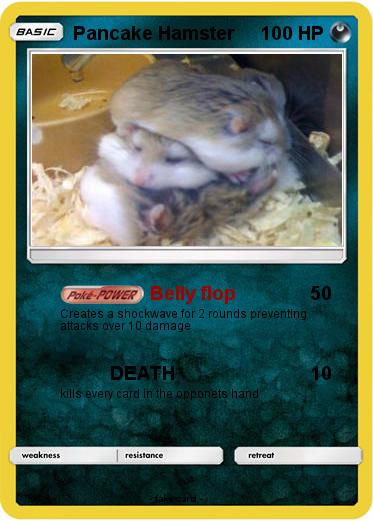 Pokemon Pancake Hamster