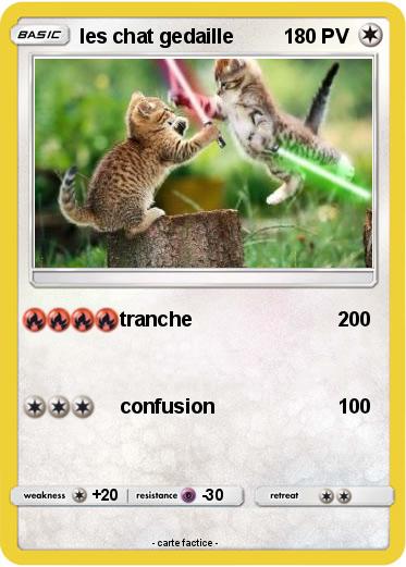 Pokemon les chat gedaille