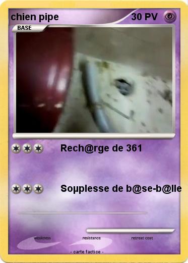 Pokemon chien pipe