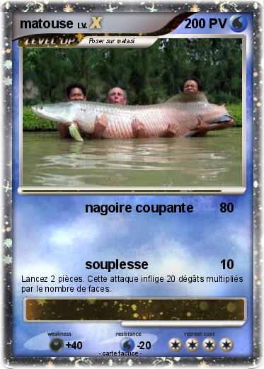Pokemon matouse