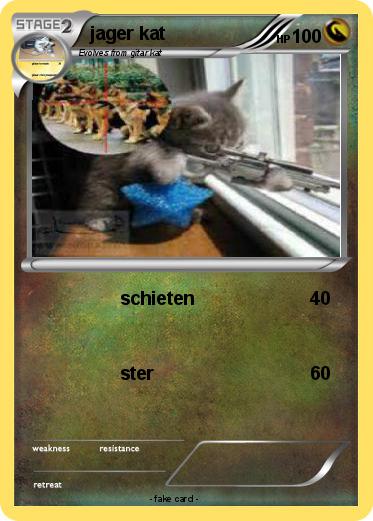 Pokemon jager kat