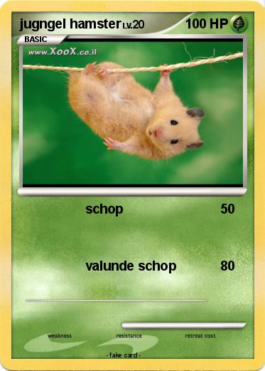 Pokemon jugngel hamster