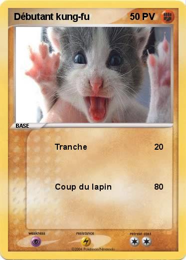 Pokemon Débutant kung-fu