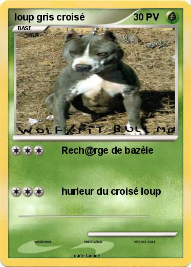 Pokemon loup gris croisé