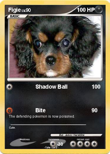 Pokemon Figie