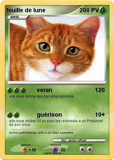 Pokemon feuille de lune