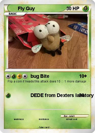 Pokemon Fly Guy