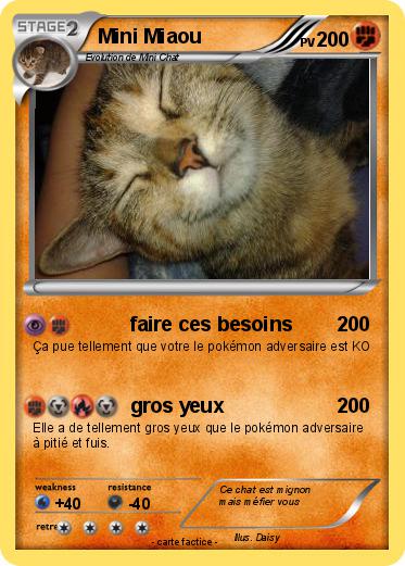 Pokemon Mini Miaou
