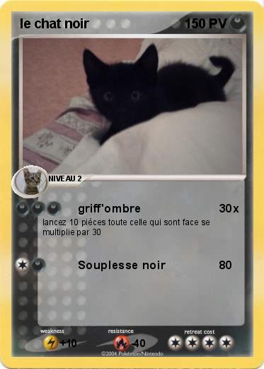 Pokemon le chat noir