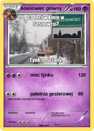 Pokemon sosnowiec główny