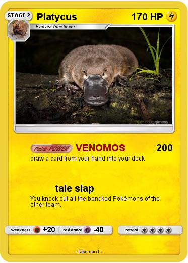 Pokemon Platycus